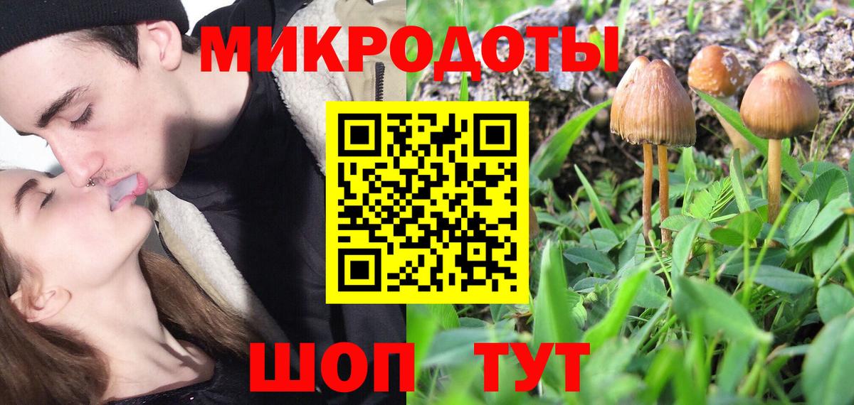 Новочеркасск  Галлюциногенные грибы мицелий  где продают   Вход с VPN  Галлюциногенные грибы прущие грибы 